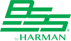 logo_bss_mini