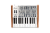 Arturia Minibrute SE