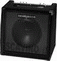BEHRINGER