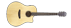 Chitarra Acustica Breedlove Discovery Dreadnough CE
