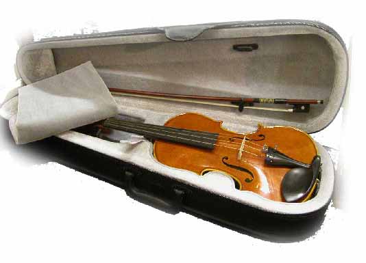 bruck violino con astuccio