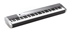 Pianoforte digitale Casio CDP130SR Silver - SCAVINO