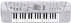 pagina principale Casio SA75