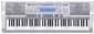 pagina principale Casio WK210