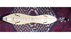 Dulcimer 202572 Strumento indiano di America
