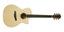 Eastman AC822CE FF Grand Auditorium Concert