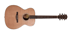 Eastman AC OM1