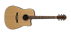 Eastman AC120CE