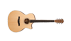Eastman AC122CE