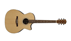 Eastman AC222CE