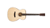 Eastman E10SS