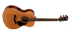 Chitarra Acustica Eko Evo 018 EQ Cutaway