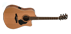Chitarra Acustica Eko Evo d CW EQ Cutaway