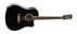 Chitarra Acustica Eko Ranger CW EQ