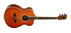 Chitarra Acustica Eko Tri 018