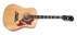 pagina principale Chitarra Acustica Epiphone Dove
