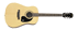 pagina principale Chitarra Acustica Epiphone DR100NT