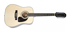 pagina principale Epiphone DR212 a 12 corde