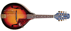 MM-30S Mandolino Bluegrass "A-STYLE" EF30ASGH1