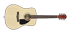 Pagina principale Fender CD60 Natural