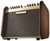 Fishman Loudbox
