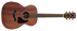 Ibanez AC2040 opn