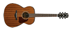 Ibanez AC240