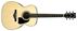 IBANEZ AC3000 NT