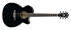 Ibanez AEG10II BK