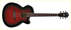 Ibanez AEG10II TRS