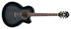 Ibanez AEL20E TKS