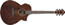 IBANEZ Aew40CD NT Natural