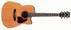IBANEZ