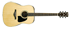 IBANEZ AW3000 NT