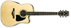 Ibanez AW300ECE NT