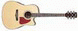 IBANEZ