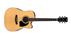 IBANEZ PF15ECE NT