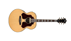 Ibanez SGE530 NT