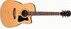 IBANEZ