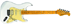 Pagina principale Chitarra elettrica JM Forest ST73MWH