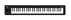 KORG Microkey 61 tasti
