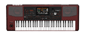 KORG Pa1000 Tastiera Aranger