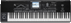 pagina principale KORG PA3x 76