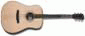 larrivee_d09e_mini