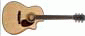 larrivee_lv05e_mini