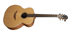 Chitarra lowden O-35 Honduras Rosewood