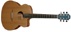 Chitarra lowden o 35 c