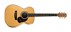 Maton EBG808 CL