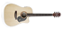 Maton SRS60