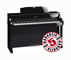 Roland HP508 PE
